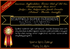 Staffwild Super Overdrive.png